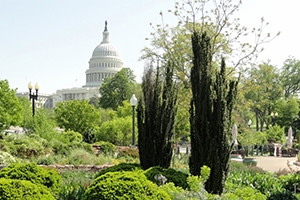 Bartholdi Park